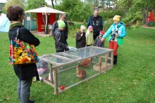 Lepsämä-päivänä 2013. Kuva Mirkka Pellinen